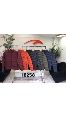 18258 (зима)