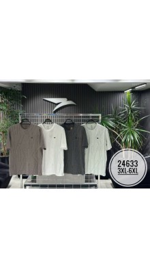 24633 батал