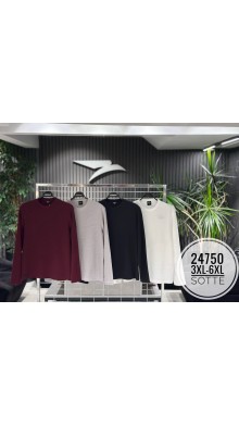 24750 батал 
