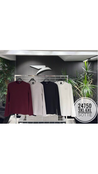24750 батал 24750 батал